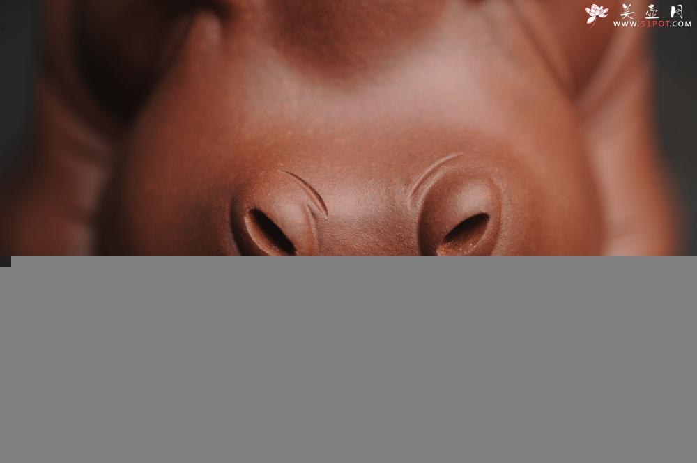 紫砂壶图片：美宠特惠 精品优质紫泥财大气粗 河马 紫砂茶宠摆件 长11cm宽8cm高8cm - 美壶网