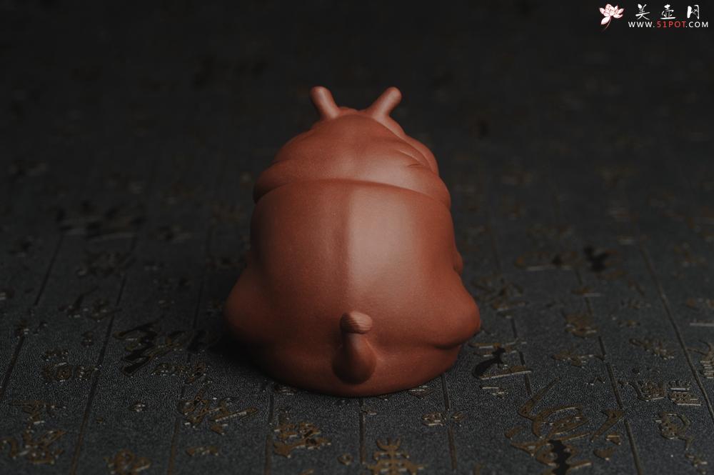 紫砂壶图片：美宠特惠 精品优质紫泥财大气粗 河马 紫砂茶宠摆件 长11cm宽8cm高8cm - 美壶网