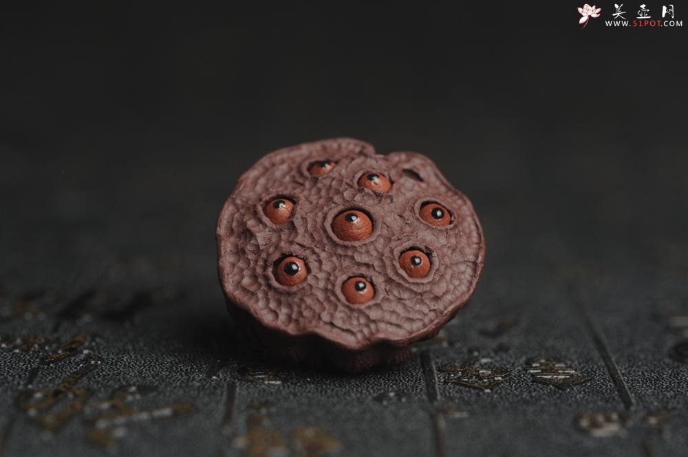 紫砂壶图片：美宠特惠 精致迷你紫泥小莲蓬茶宠摆件 莲子可动有趣 直径3.8cm高2.8cm左右 - 美壶网