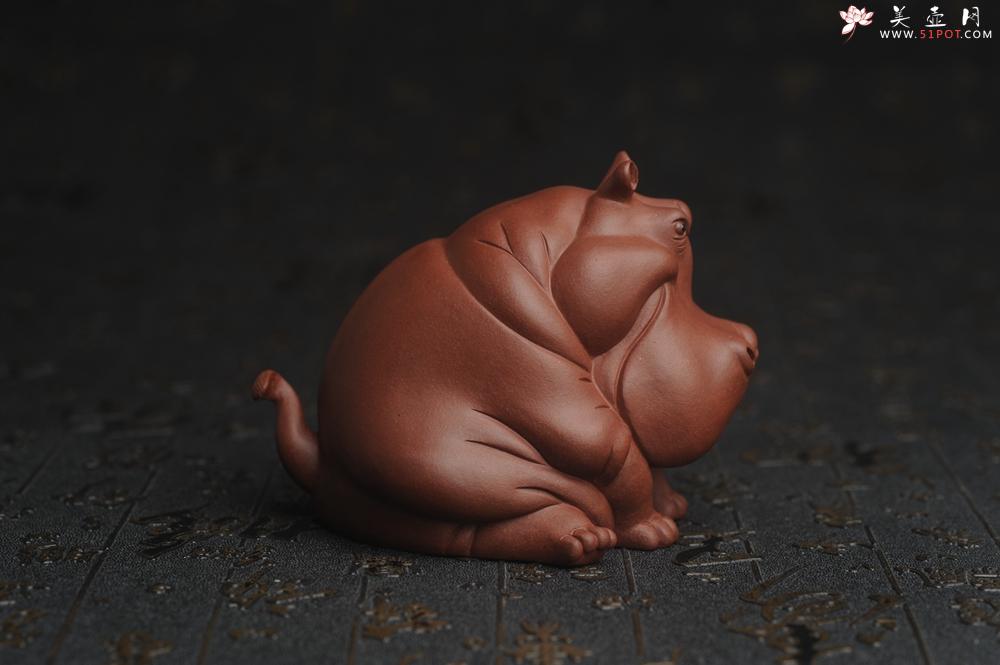 紫砂壶图片：美宠特惠 精品优质紫泥财大气粗 河马 紫砂茶宠摆件 长11cm宽8cm高8cm - 美壶网