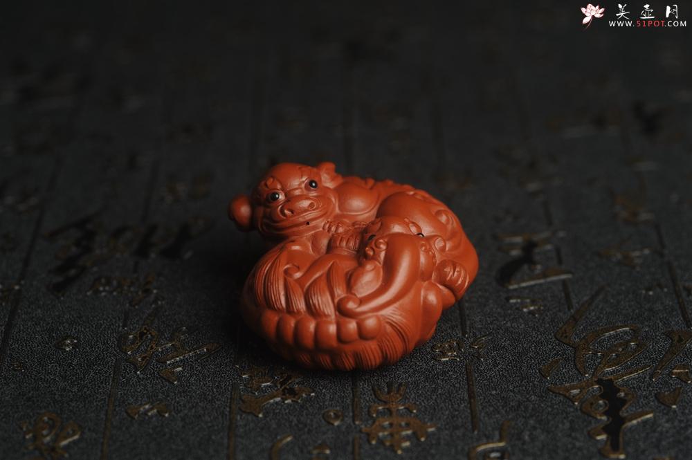 紫砂壶图片：美宠特惠 精致大红袍朱泥镇宅对狮子紫砂茶宠摆件 长6.5cm宽5.5cm高3.5cm - 美壶网