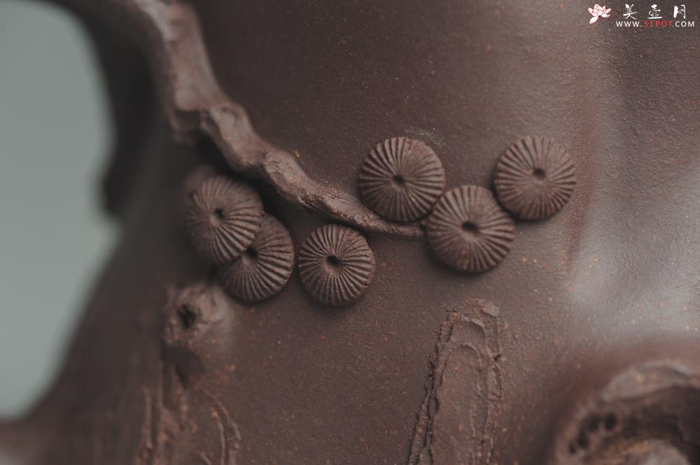 紫砂壶图片:实力精品全手工松桩 肌理丰富 越品越有味道 壶好的不要不要的 眼力好的速度下手 - 美壶网