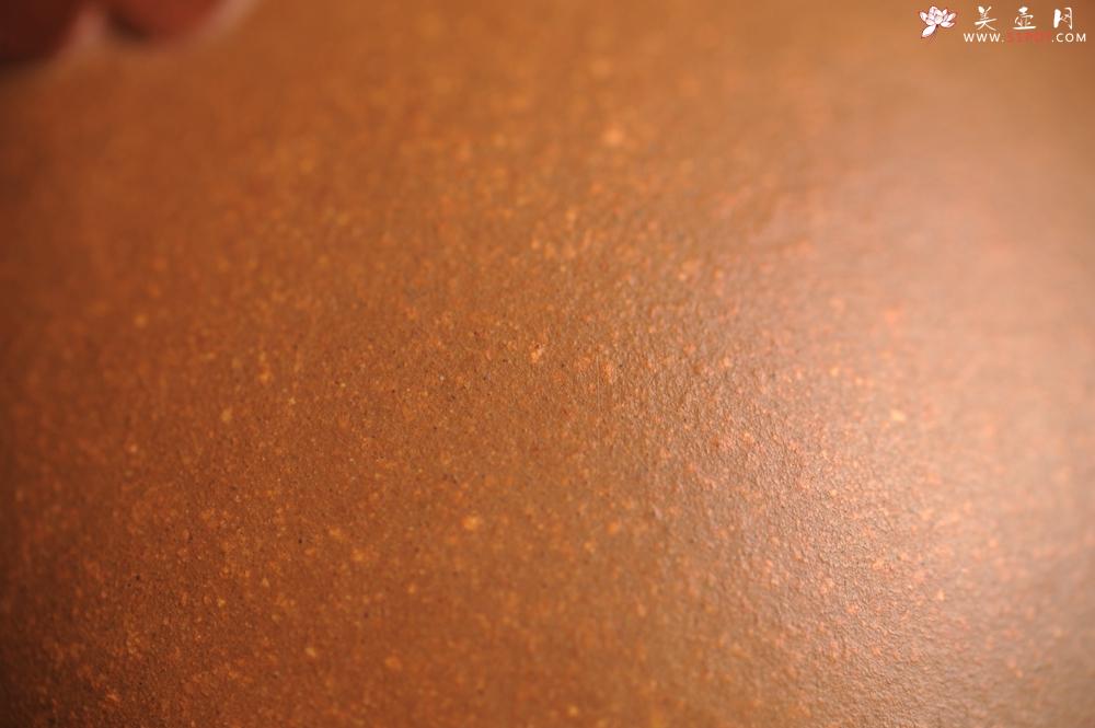 紫砂壶图片：美宠特惠 精致全手工 牡丹贴花特灵动 盖托 茶宠摆件直径8.5cm高5cm - 美壶网