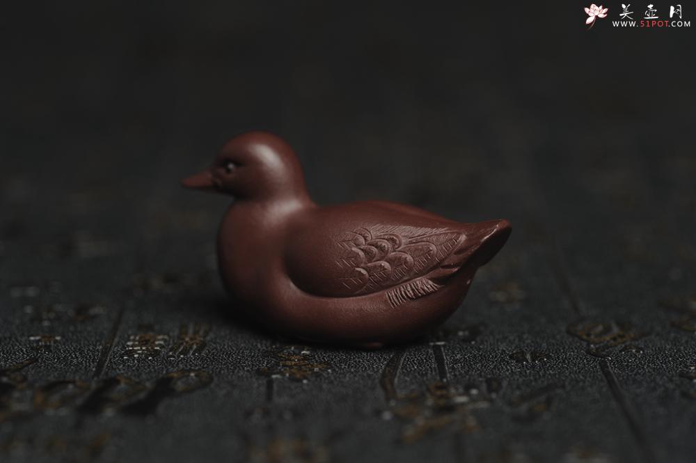 紫砂壶图片：美宠特惠 超精工特好紫泥呆萌小鸭茶宠摆件 长6宽2.5高3cm - 美壶网