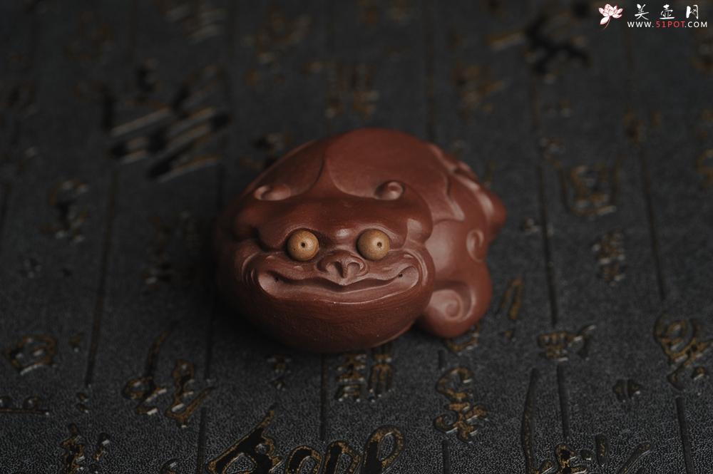 紫砂壶图片：美宠特惠 精工紫泥如意金蟾 长8cm宽6cm高4cm 茶盘尤物 - 美壶网