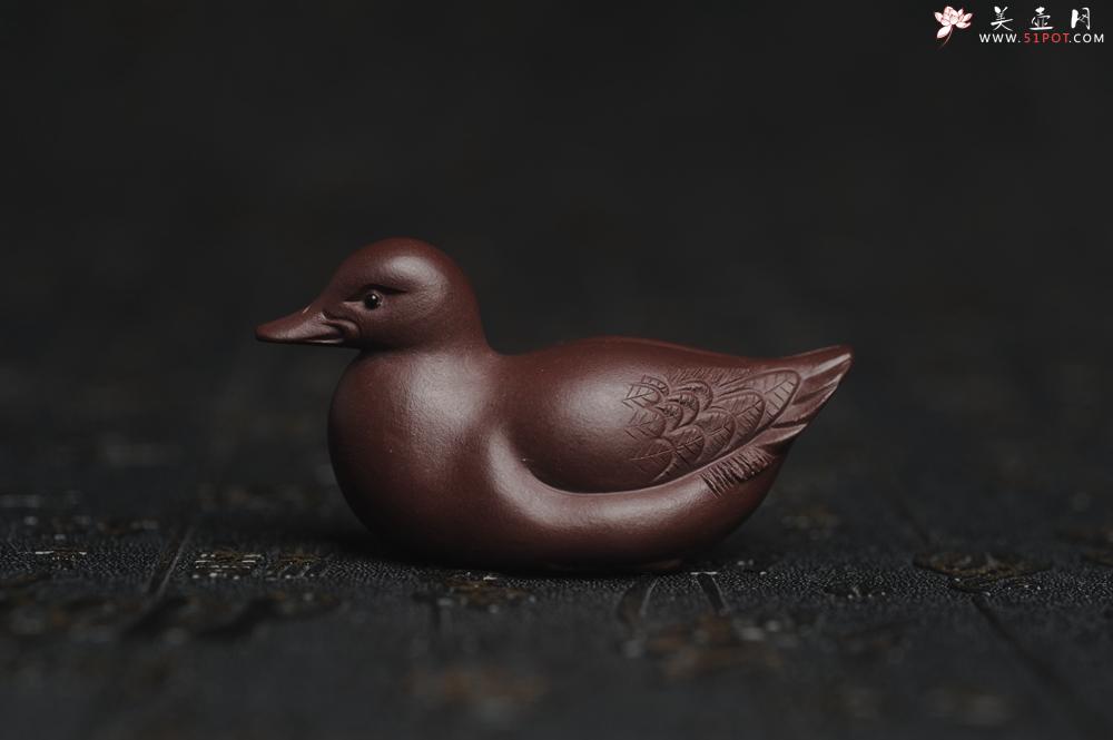 紫砂壶图片：美宠特惠 超精工特好紫泥呆萌小鸭茶宠摆件 长6宽2.5高3cm - 美壶网