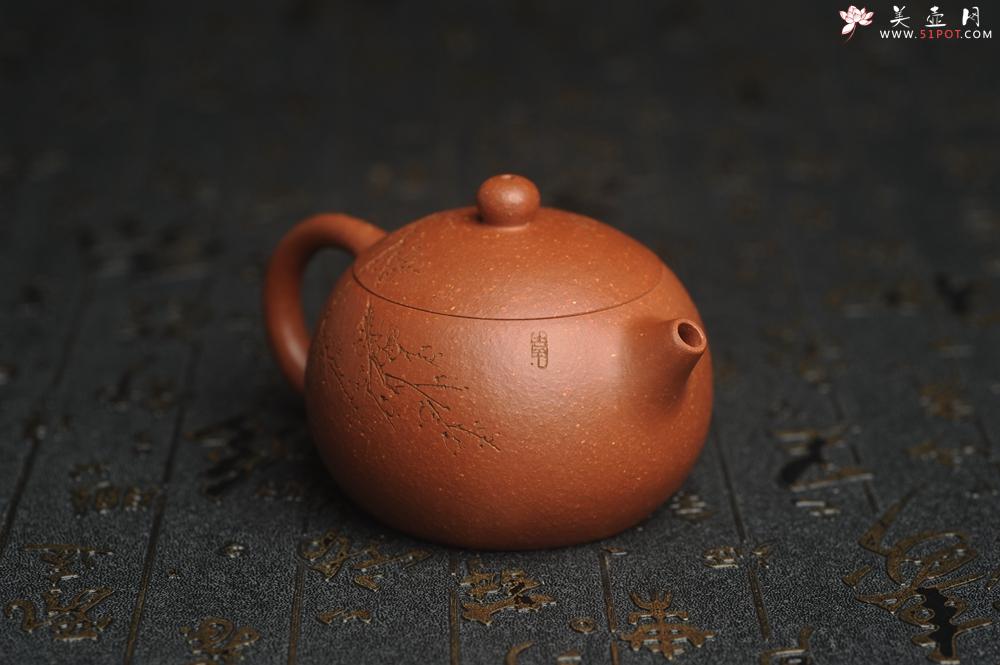 紫砂壶图片：油润降坡泥全手工小品西施壶 装饰喜上眉梢 特文气 - 美壶网