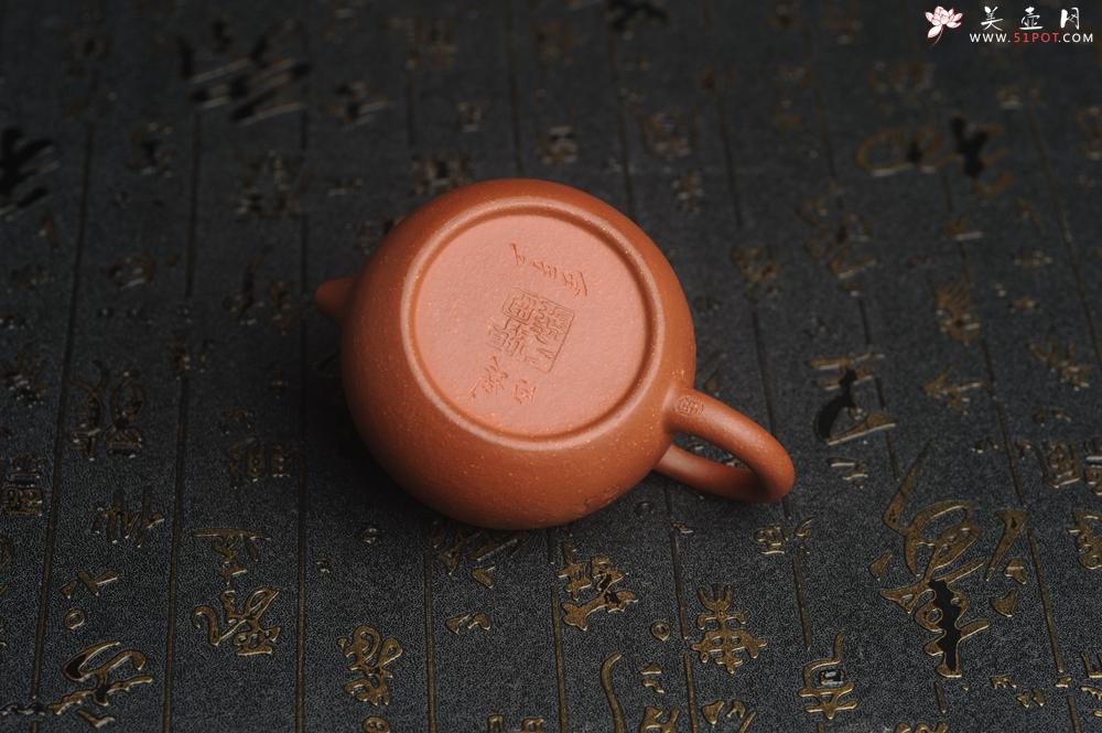 紫砂壶图片：油润降坡泥全手工小品西施壶 装饰喜上眉梢 特文气 - 美壶网