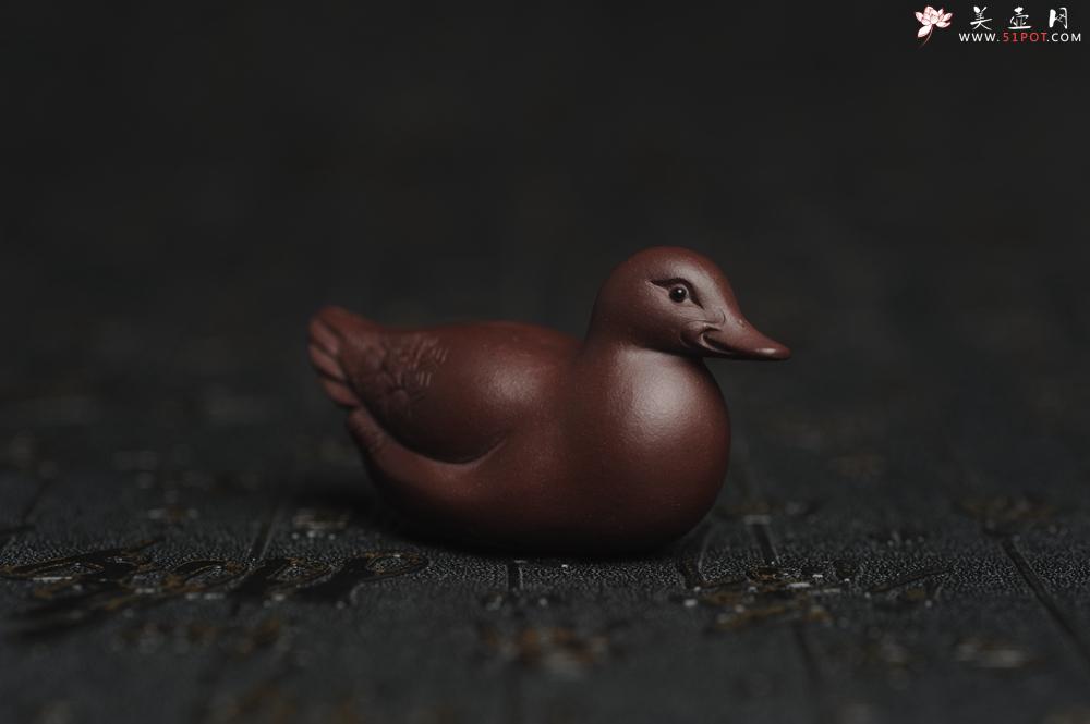 紫砂壶图片：美宠特惠 超精工特好紫泥呆萌小鸭茶宠摆件 长6宽2.5高3cm - 美壶网