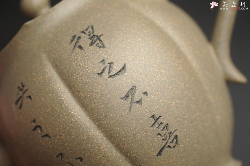 紫砂壶图片:美壶特惠 精致青段泥水仙壶 得之不喜 失之不忧 宠辱不惊 去留无意 - 美壶网