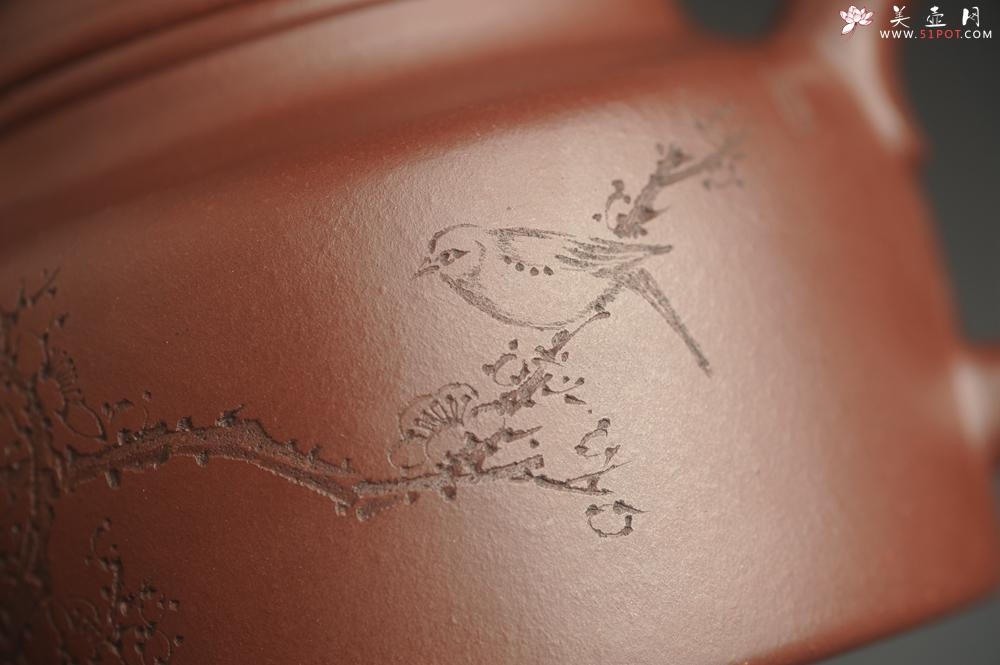 紫砂壶图片:油润黄龙山4号深井红皮龙 全手工德中壶 做工特好 喜上眉梢 - 美壶网