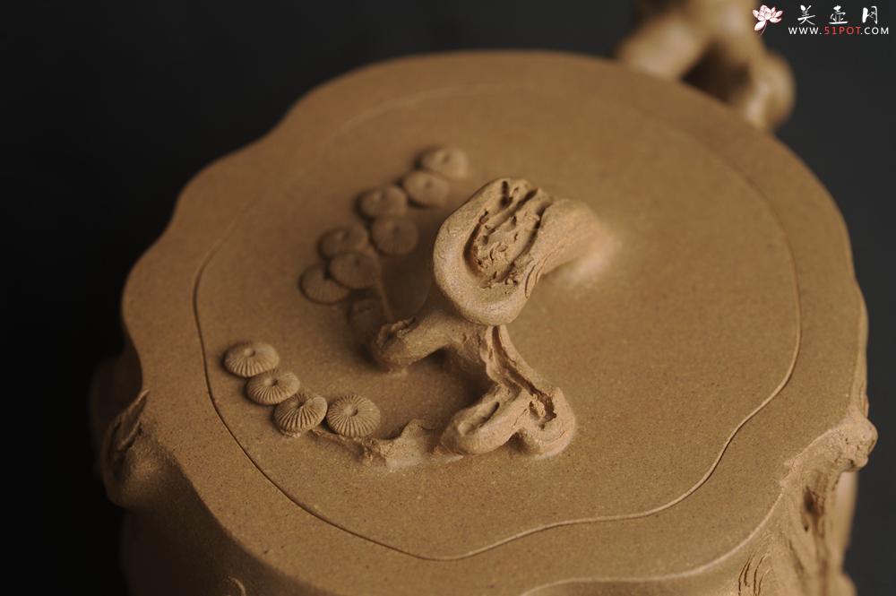 紫砂壶图片：潜力股唐老师 全手工精致老段松桩壶 肌理丰富生动 期待与您结缘 - 美壶网