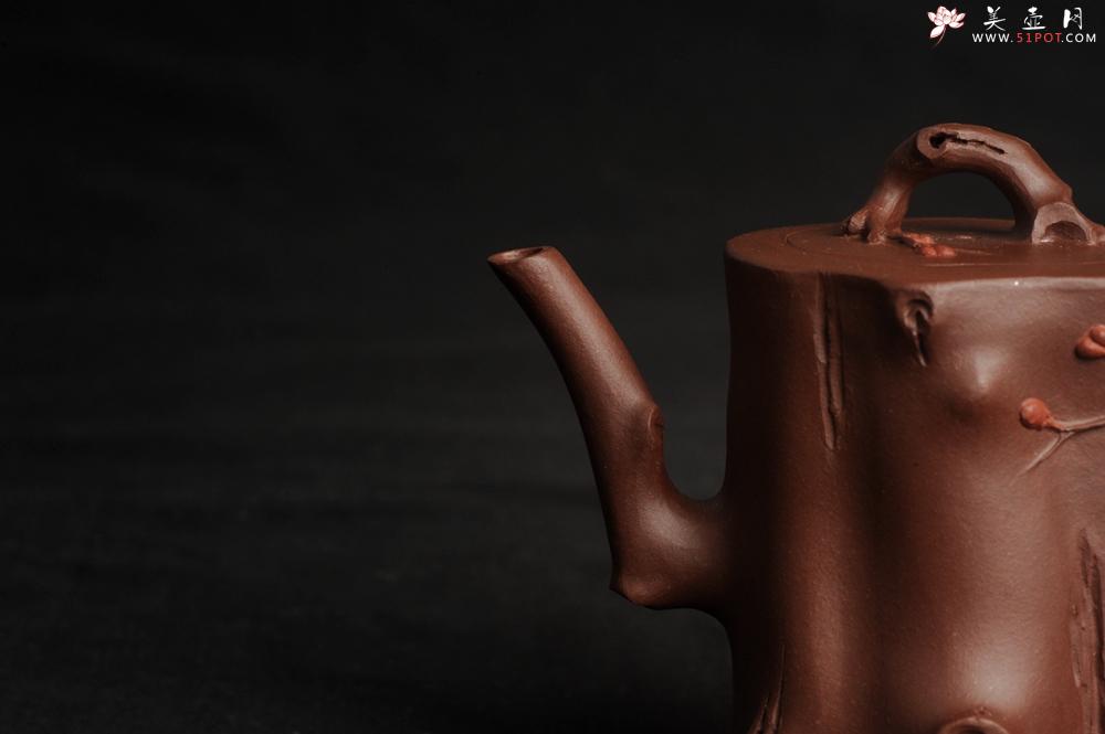 紫砂壶图片：潜力股赵老师 全手工秀雅梅桩 肌理自然生动 - 美壶网