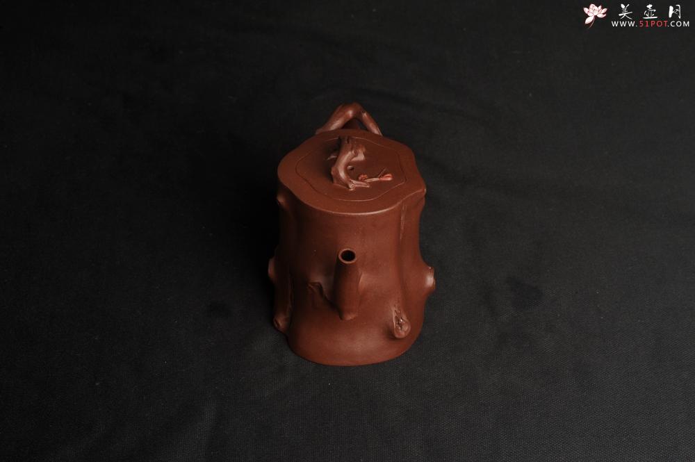 紫砂壶图片：潜力股赵老师 全手工秀雅梅桩 肌理自然生动 - 美壶网