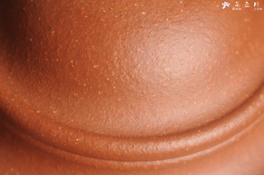 紫砂壶图片：美壶特惠 精致红降坡泥莲子壶 - 美壶网