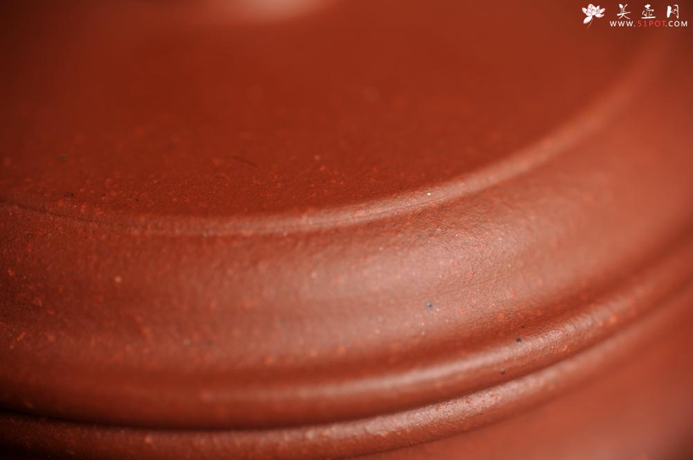 紫砂壶图片：美壶特惠 优质清水泥精致德中壶 矿物质丰富 茶人醉爱 - 美壶网