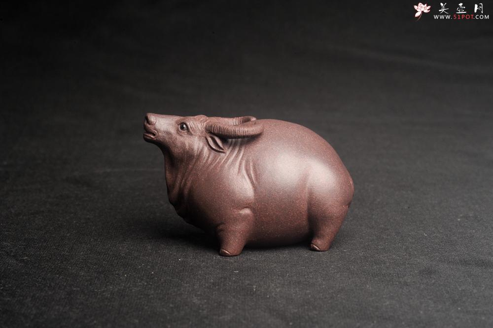 紫砂壶图片:美宠特惠 实力派工艺员姚老师 预计明年升助工 超精品老青灰泥孺子牛茶宠 长8cm高5cm 肌理 - 美壶网