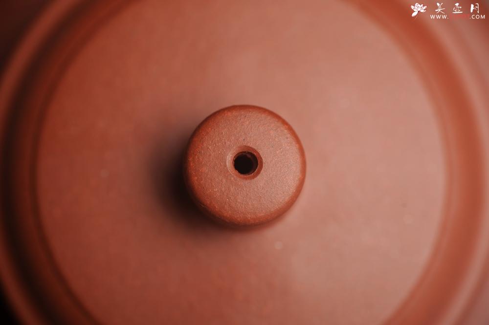 紫砂壶图片：美壶特惠 优质清水泥精致德中壶 矿物质丰富 茶人醉爱 - 美壶网