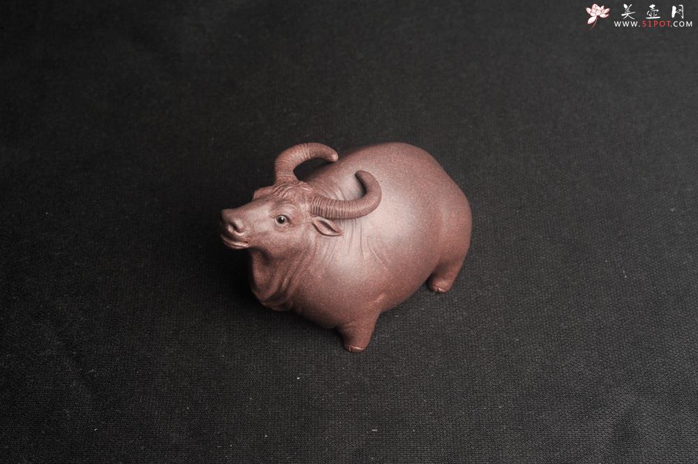 紫砂壶图片:美宠特惠 实力派工艺员姚老师 预计明年升助工 超精品老青灰泥孺子牛茶宠 长8cm高5cm 肌理 - 美壶网
