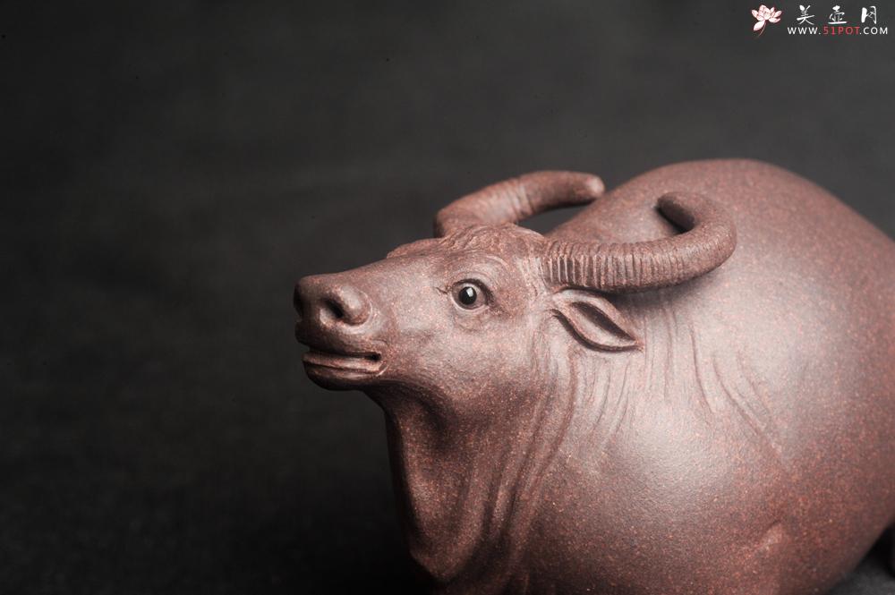 紫砂壶图片:美宠特惠 实力派工艺员姚老师 预计明年升助工 超精品老青灰泥孺子牛茶宠 长8cm高5cm 肌理 - 美壶网