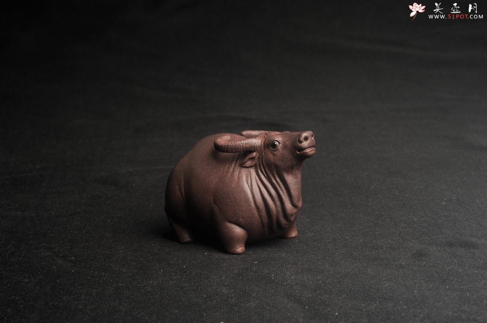 紫砂壶图片:美宠特惠 实力派工艺员姚老师 预计明年升助工 超精品老青灰泥孺子牛茶宠 长8cm高5cm 肌理 - 美壶网