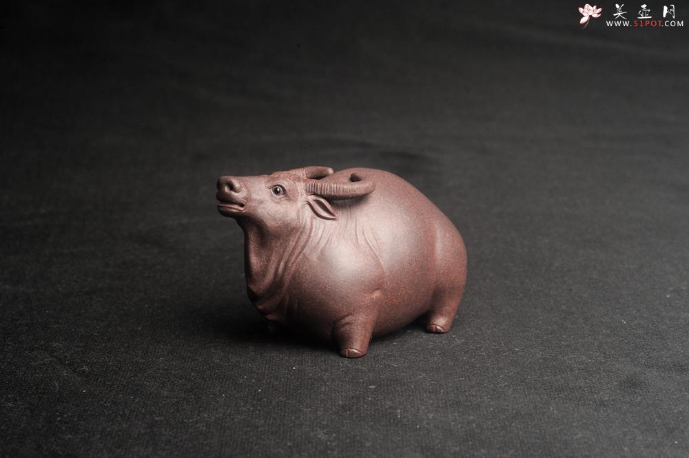 紫砂壶图片:美宠特惠 实力派工艺员姚老师 预计明年升助工 超精品老青灰泥孺子牛茶宠 长8cm高5cm 肌理 - 美壶网