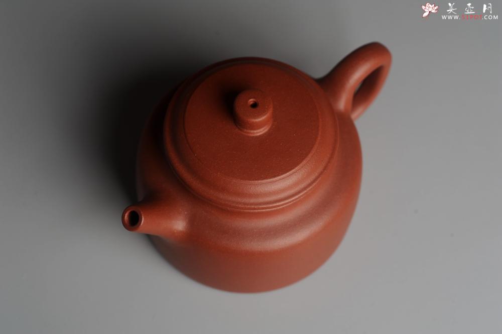 紫砂壶图片：美壶特惠 优质清水泥精致德中壶 矿物质丰富 茶人醉爱 - 美壶网