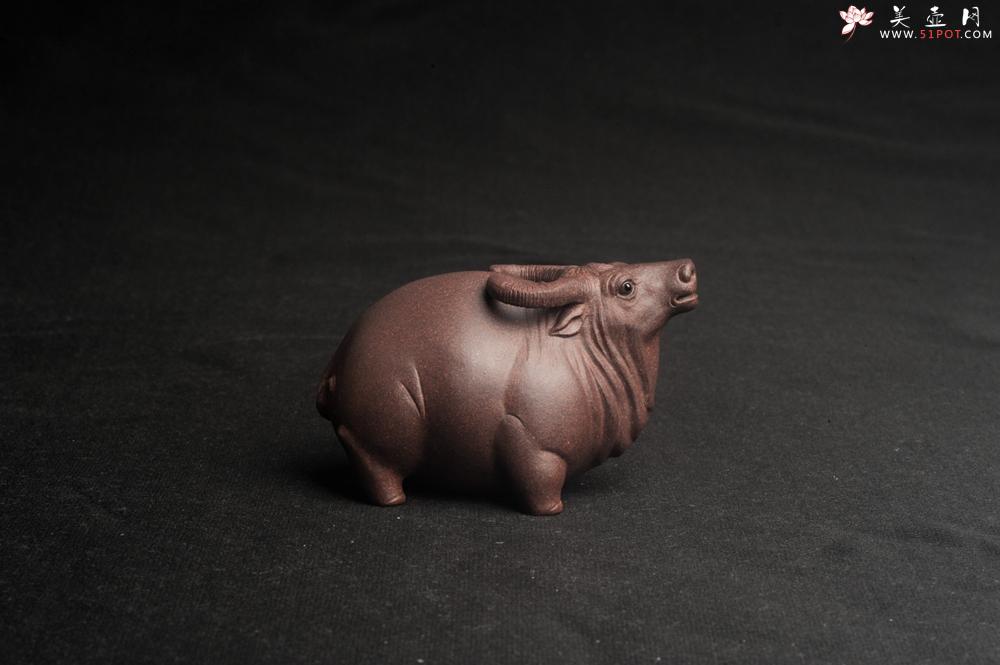 紫砂壶图片:美宠特惠 实力派工艺员姚老师 预计明年升助工 超精品老青灰泥孺子牛茶宠 长8cm高5cm 肌理 - 美壶网