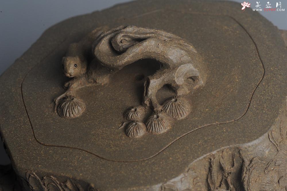 紫砂壶图片：潜力股赵老师 全手工青段松桩壶 松鼠跃然壶盖特有趣 肌理丰富 期待与您结缘 - 美壶网