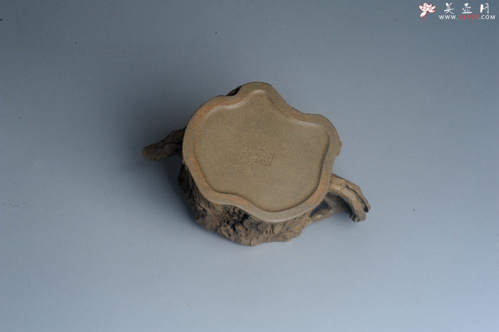 紫砂壶图片：潜力股赵老师 全手工青段松桩壶 松鼠跃然壶盖特有趣 肌理丰富 期待与您结缘 - 美壶网