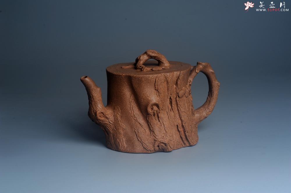 紫砂壶图片：潜力股唐老师 全手工精致老段松桩壶 肌理丰富生动 期待与您结缘 - 美壶网