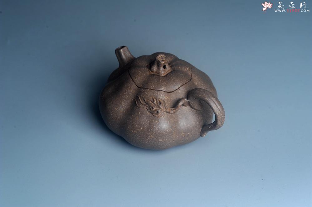 紫砂壶图片：美壶特惠 优质青降坡泥精致卡盖全手工仿生小南瓜 - 美壶网