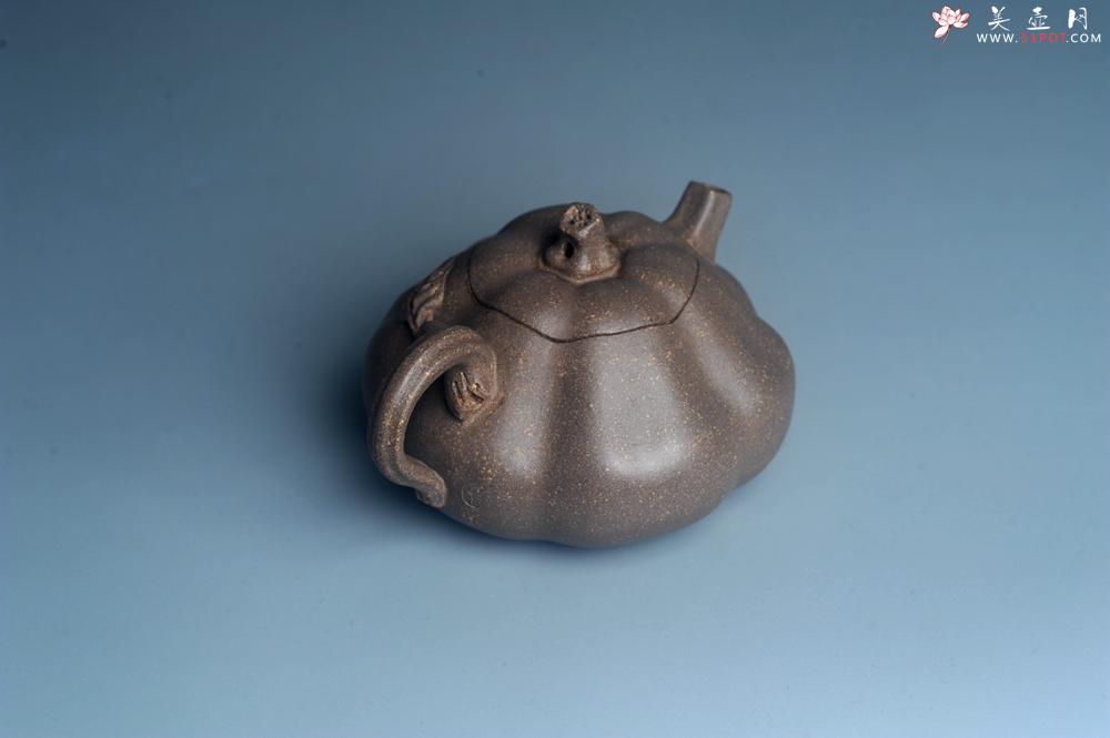 紫砂壶图片：美壶特惠 优质青降坡泥精致卡盖全手工仿生小南瓜 - 美壶网