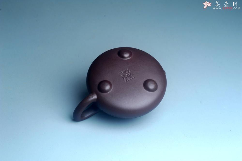 紫砂壶图片：油润底曹青 全手工石瓢壶 装饰喜上眉梢 特文气 - 美壶网