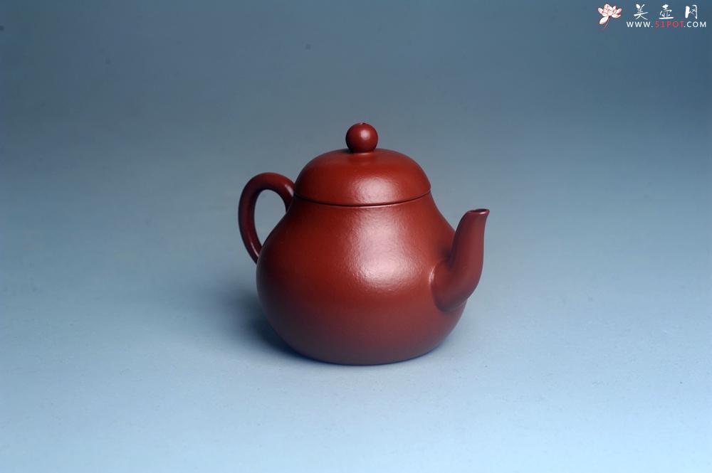 紫砂壶图片：美壶特惠 特好朱泥精致小君德壶 茶人醉爱 - 美壶网