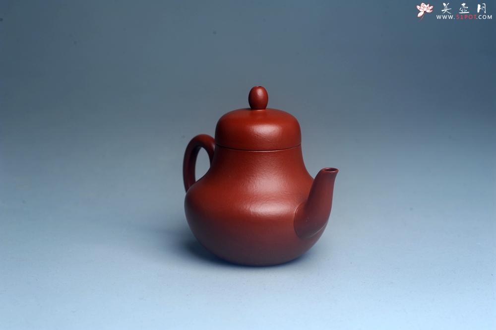 紫砂壶图片：美壶特惠 特好朱泥精致小君德壶 茶人醉爱 - 美壶网