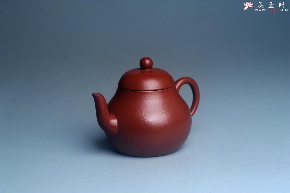 紫砂壶图片：美壶特惠 特好朱泥精致小君德壶 茶人醉爱 - 美壶网