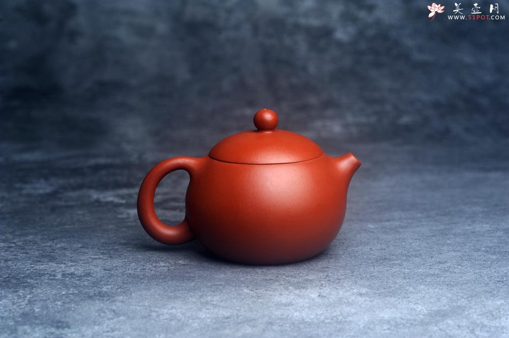 紫砂壶图片：美壶特惠定制最新实用力作 优质朱泥精致西施壶 养后特润 - 美壶网