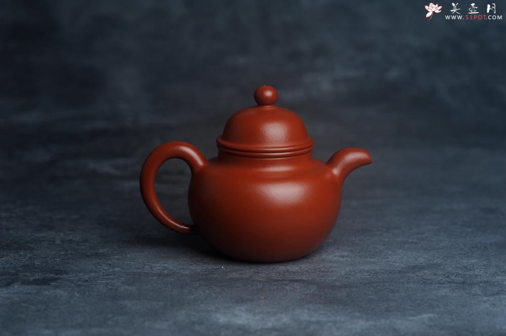 紫砂壶图片：美壶特惠 优质朱泥掇球壶 双刀装饰 茶人醉爱 - 美壶网