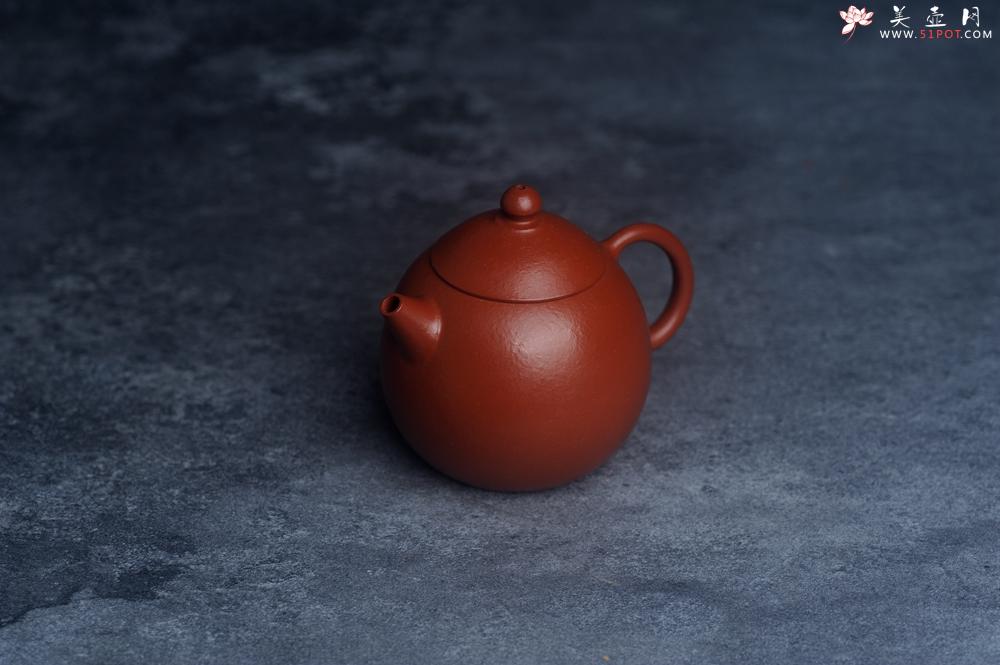 紫砂壶图片：美壶特惠 优质小品朱泥小龙蛋 茶人醉爱 - 美壶网