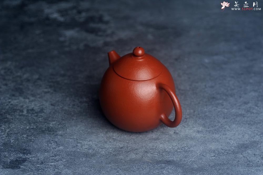 紫砂壶图片：美壶特惠 优质小品朱泥小龙蛋 茶人醉爱 - 美壶网