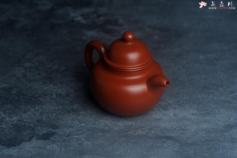紫砂壶图片：美壶特惠 优质朱泥掇球壶 双刀装饰 茶人醉爱 - 美壶网