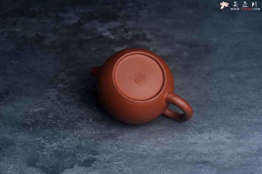 紫砂壶图片：美壶特惠 全手工优质红降坡泥西施壶 助工杨志超装饰兰花特文气 - 美壶网