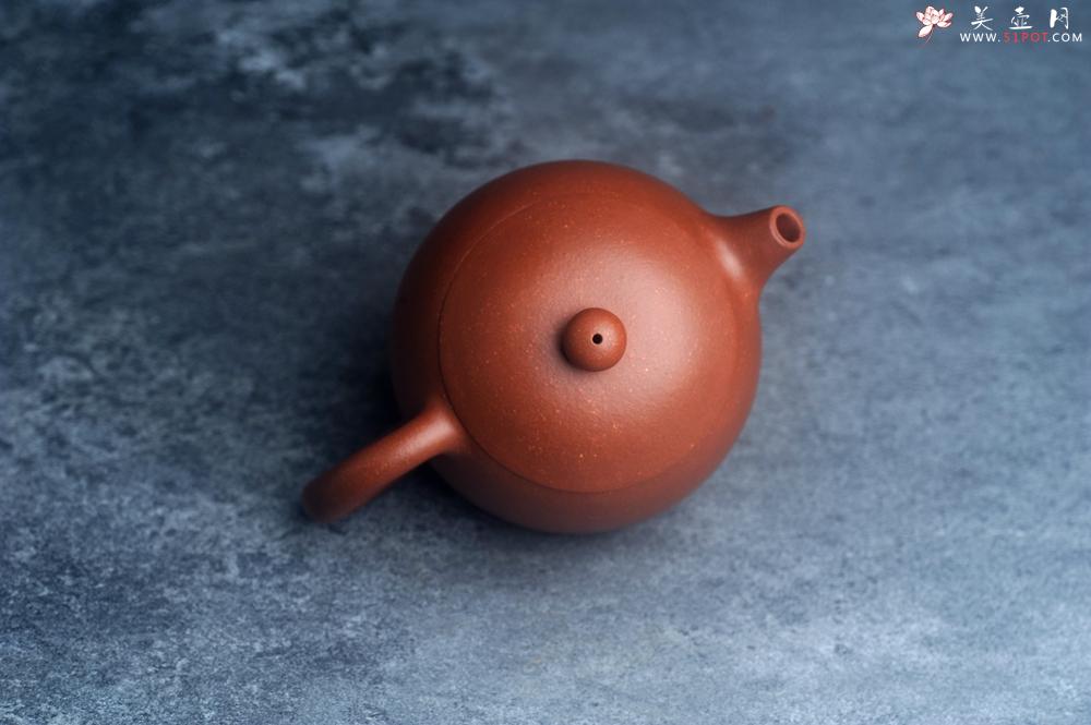 紫砂壶图片：美壶特惠 全手工优质红降坡泥西施壶 特文气 - 美壶网