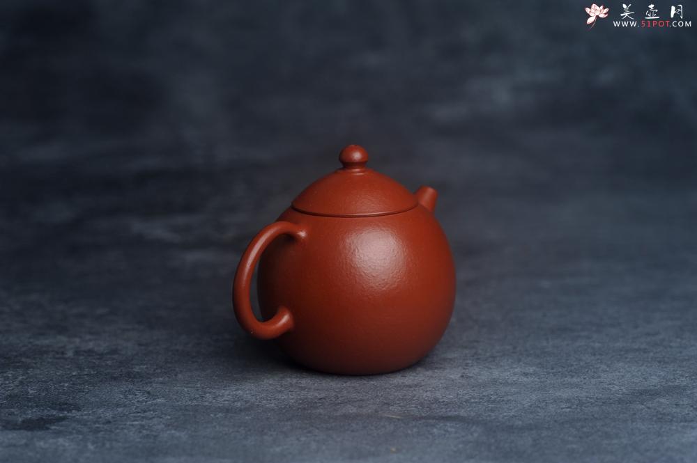 紫砂壶图片：美壶特惠 优质小品朱泥小龙蛋 茶人醉爱 - 美壶网