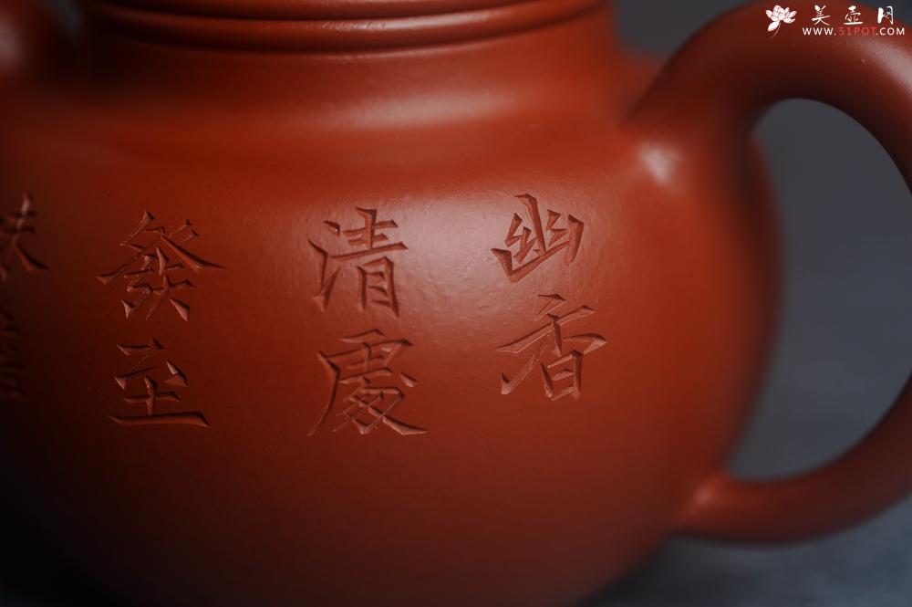 紫砂壶图片：美壶特惠 优质朱泥掇球壶 双刀装饰 茶人醉爱 - 美壶网