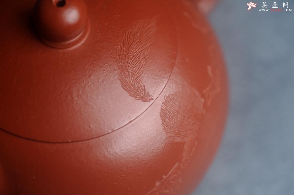 紫砂壶图片：美壶特惠紫砂壶优质朱泥扁西施壶 装饰松针松鼠 秋韵图 - 美壶网