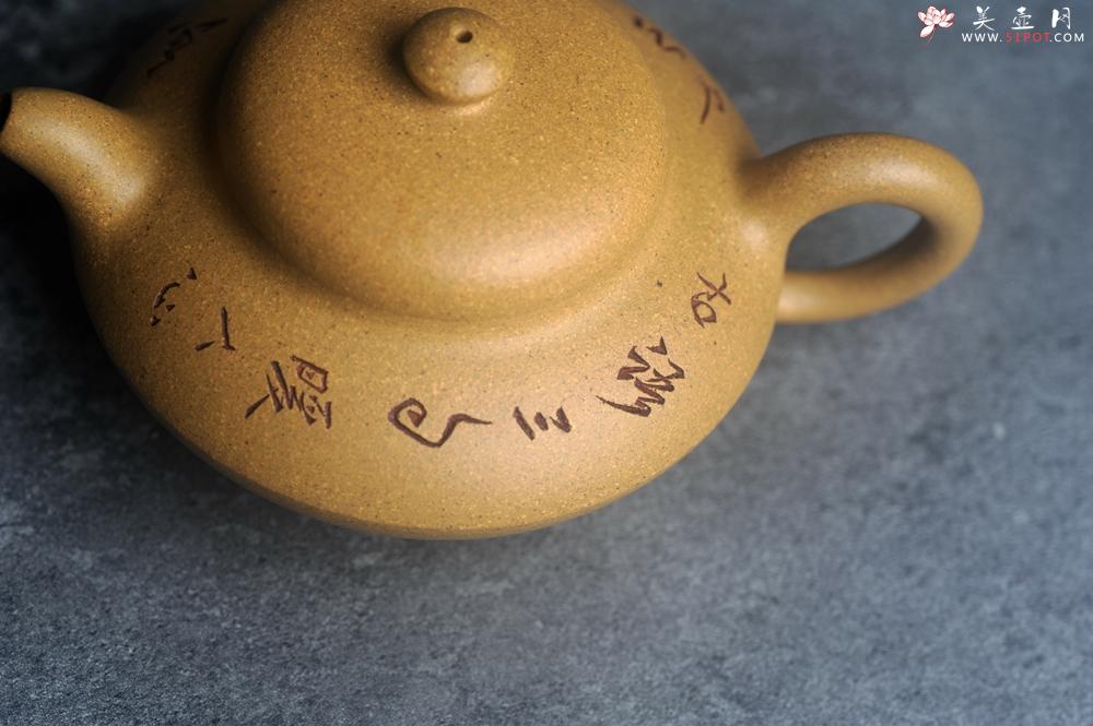 紫砂壶图片：美壶特惠 优质段泥合欢壶 特文气 - 美壶网