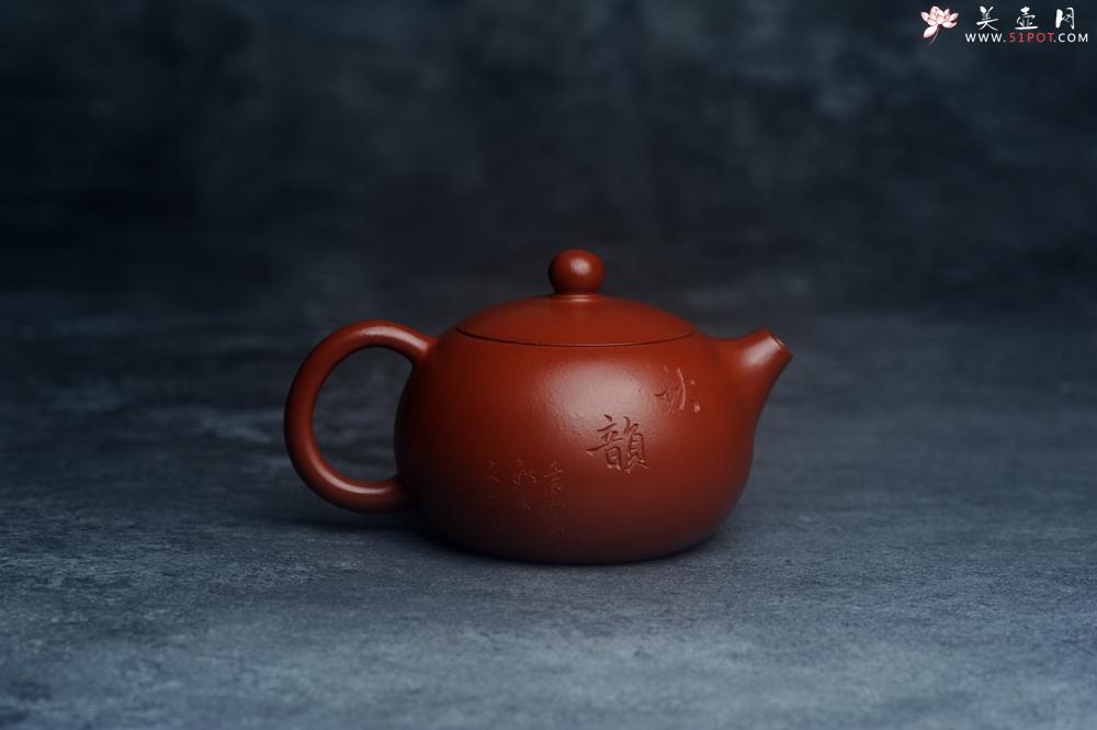 紫砂壶图片：美壶特惠紫砂壶优质朱泥扁西施壶 装饰松针松鼠 秋韵图 - 美壶网