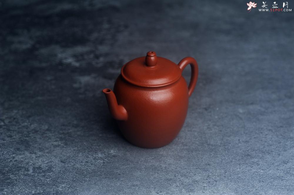 紫砂壶图片:美壶特惠 优质朱泥小神灯壶 茶人醉爱 - 美壶网